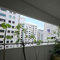 Blk 13 BOON KENG VILLE (Kallang/Whampoa), HDB 4 Rooms #566571501